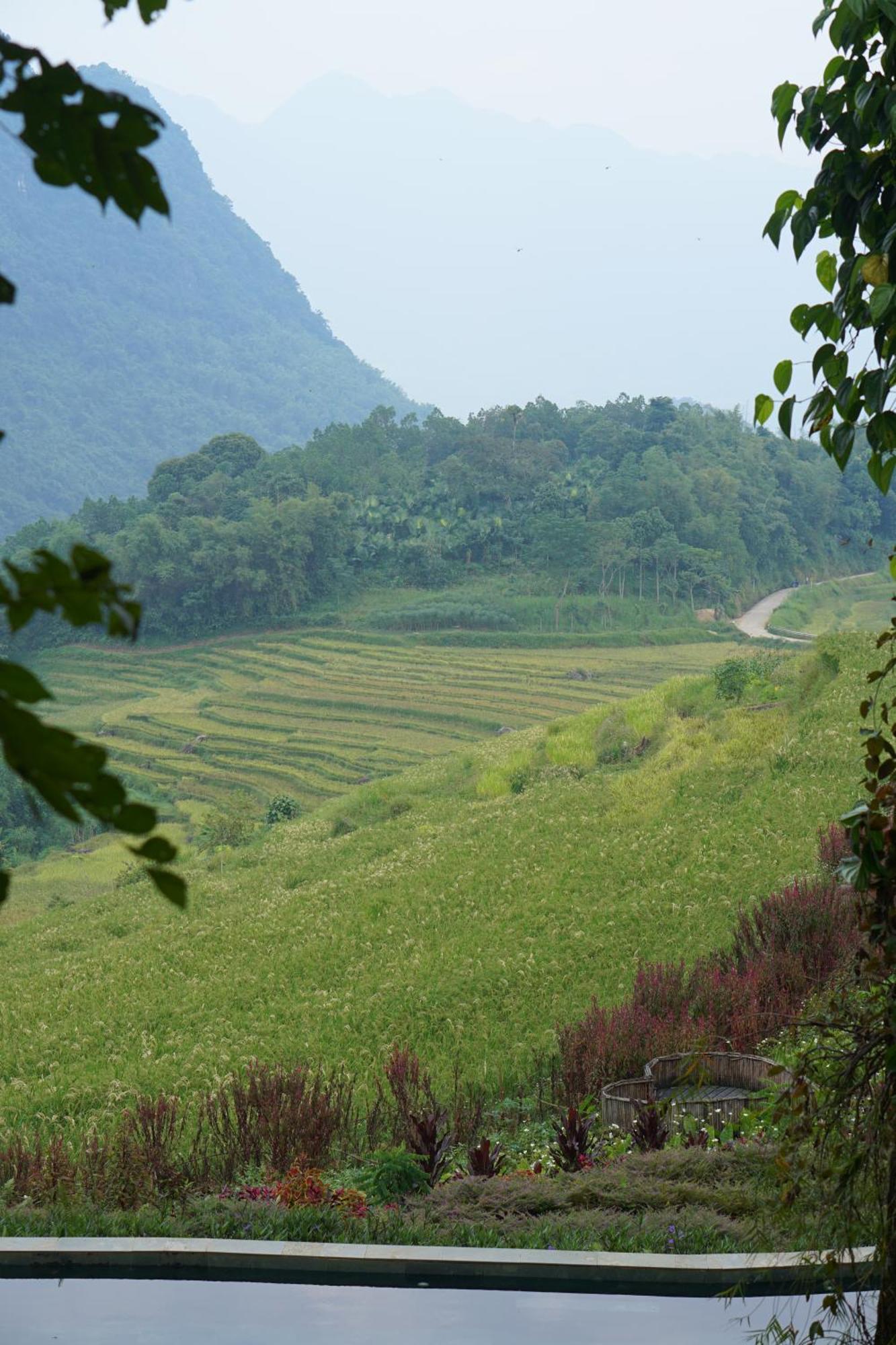 ปูเลือง นาตูรา บังกะโล Pu Luong ภายนอก รูปภาพ