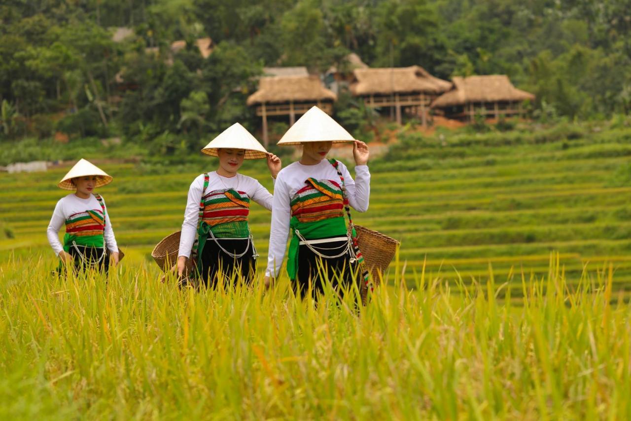 ปูเลือง นาตูรา บังกะโล Pu Luong ภายนอก รูปภาพ